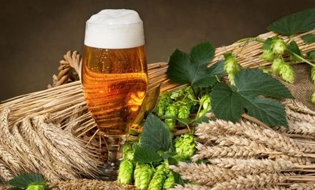 精釀啤酒中，如何選擇恰當(dāng)?shù)慕湻椒ǎ?> </a>
    </dt> 
    <dd> 
     <h4><a href=